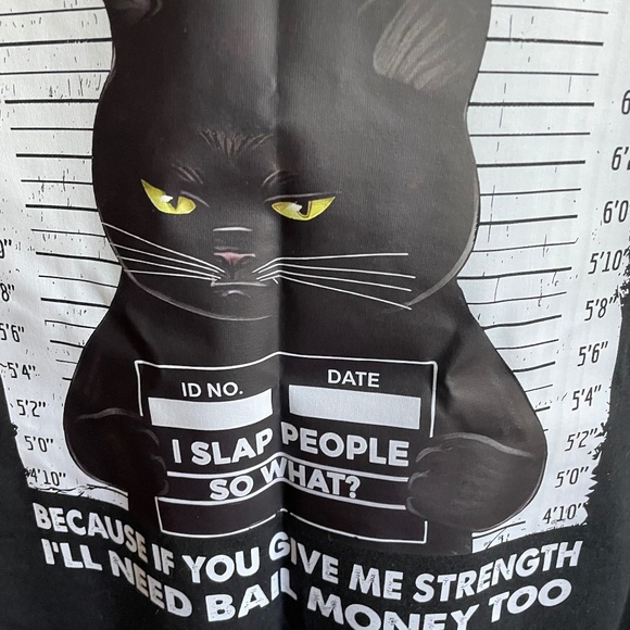 NWOT  Dear Lord Give Me Patience -  Black Cat T-Shirt (Large) - Picture 3 of 7